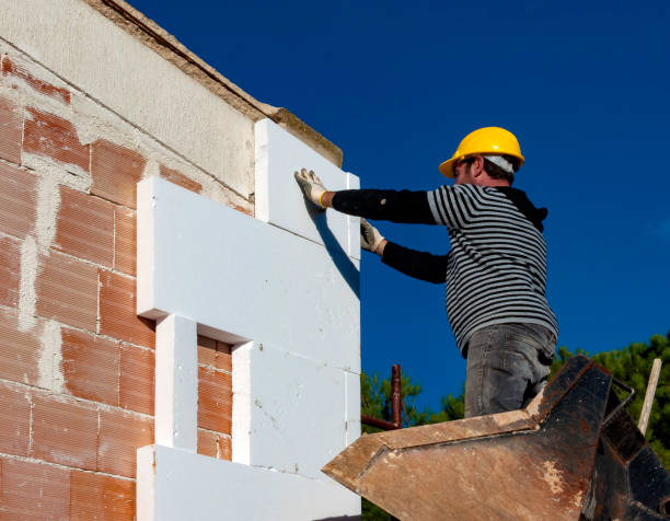 Best Cellulose Insulation  in Sonterra, TX