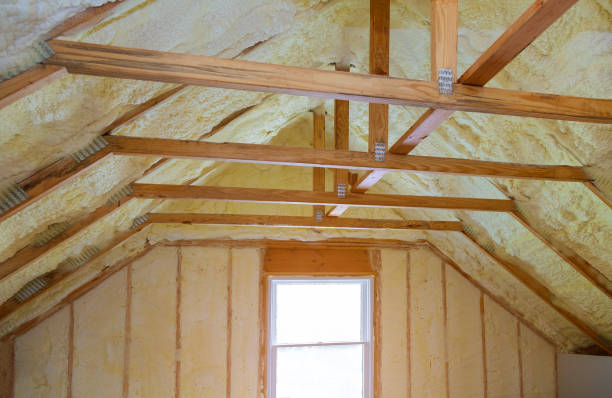 Best Crawl Space Insulation  in Sonterra, TX
