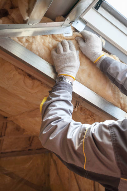 Best Attic Insulation Near Me  in Sonterra, TX