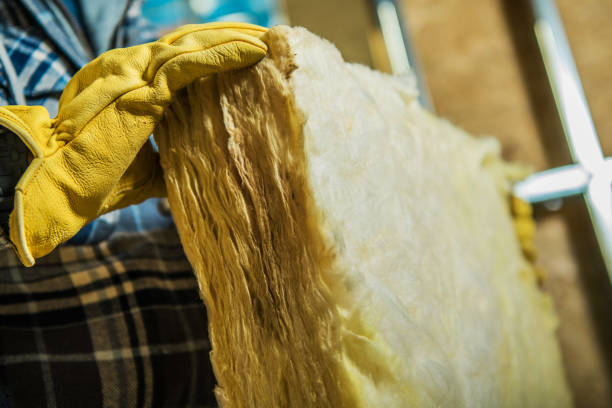 Best Insulation Removal  in Sonterra, TX