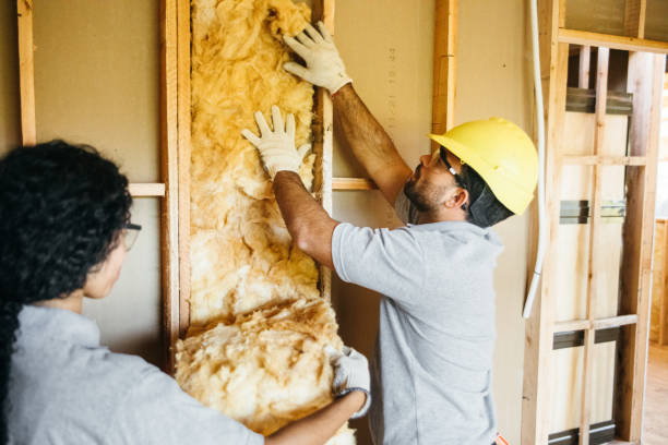 Best Attic Insulation Installation  in Sonterra, TX