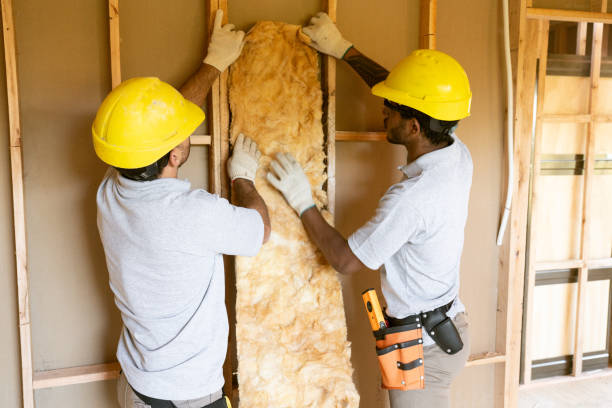 Best Insulation Repair Services  in Sonterra, TX