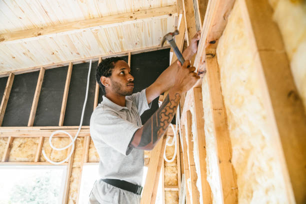 Best Insulation Replacement Services  in Sonterra, TX