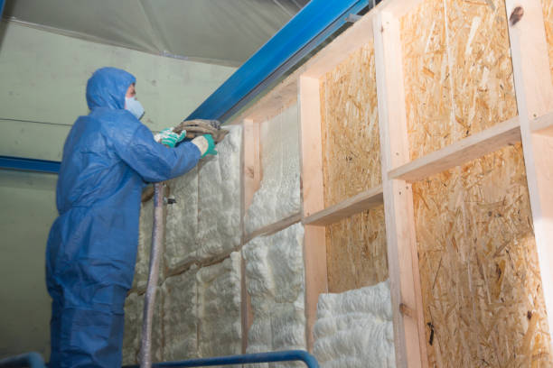 Best Affordable Insulation Services  in Sonterra, TX